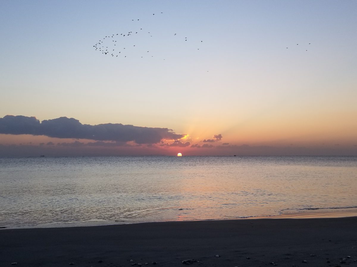 明けましておめでとうございます