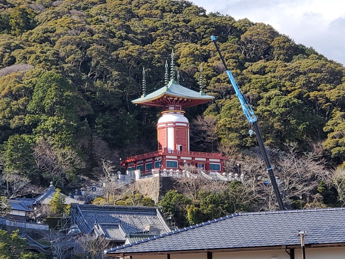 徳島県南部は春がそこまできています。