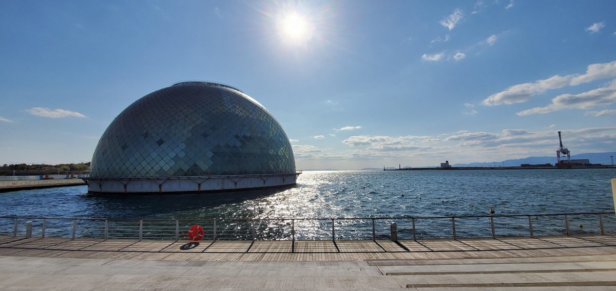 大阪南港の咲洲を散策しました